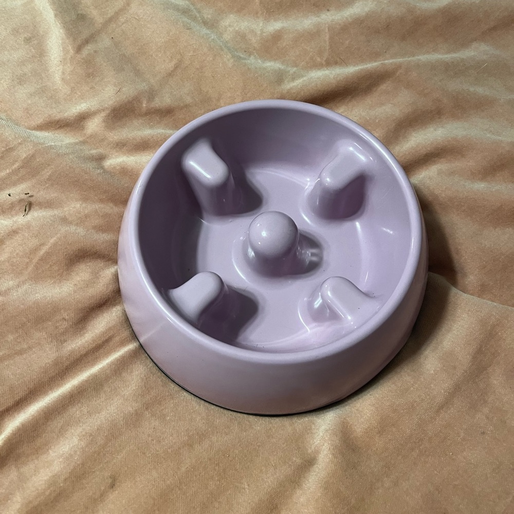 🐾dog slow feeder bowl